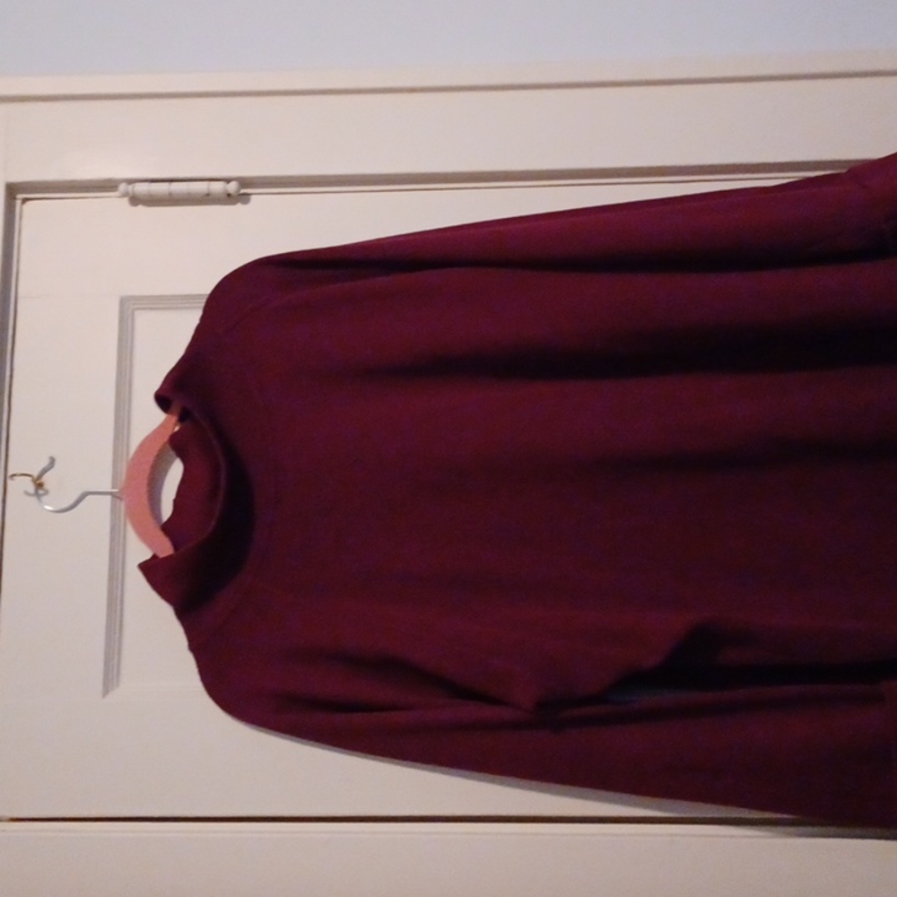 Woman  Plus size mock turtleneck Tunic